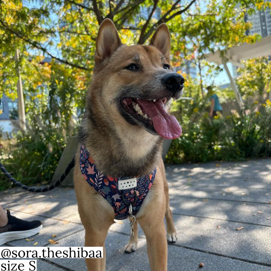 Harness: Fall-ing Fur You