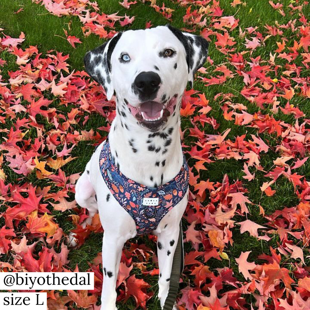 Harness: Fall-ing Fur You