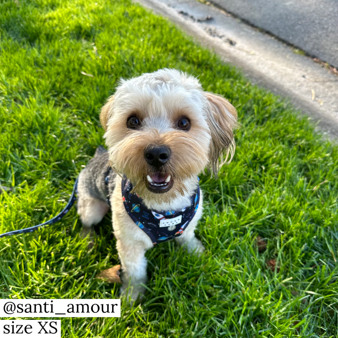 Harness: Out of This World