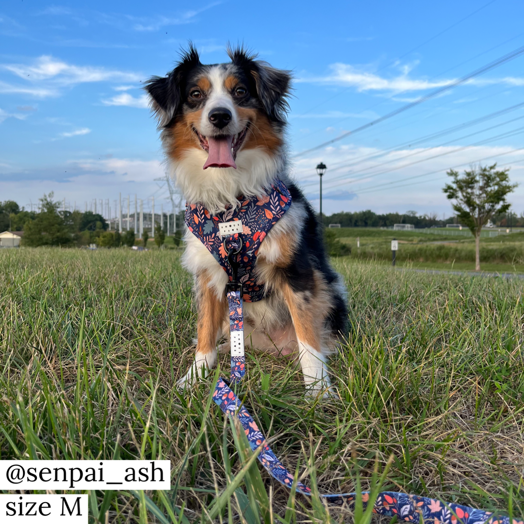 Harness: Fall-ing Fur You