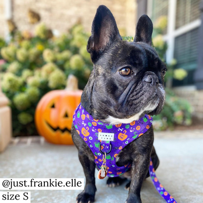 Harness: Tricks for Treats