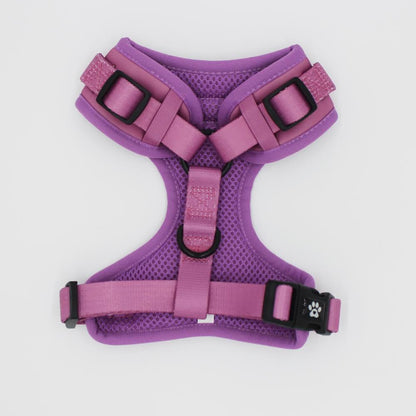 Harness: Excusé Mauv